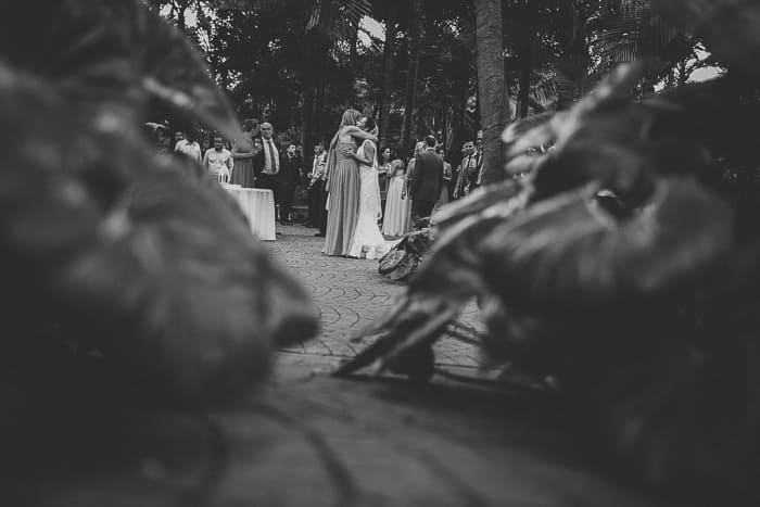 Boda_GranCanaria-97 boda jardines de la marquesa Arucas