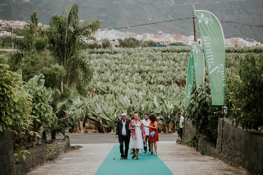 Finca Zamora Tenerife