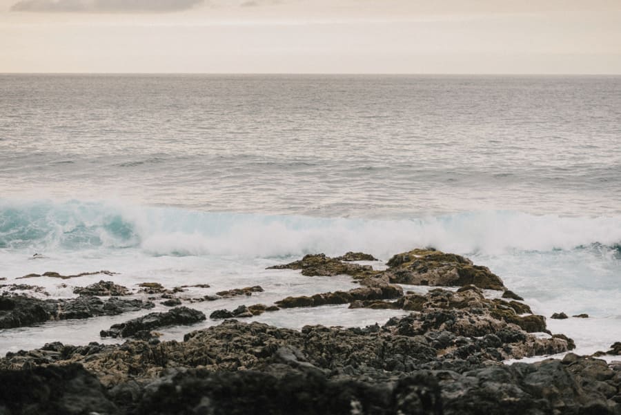 rojas el sauzal tenerife